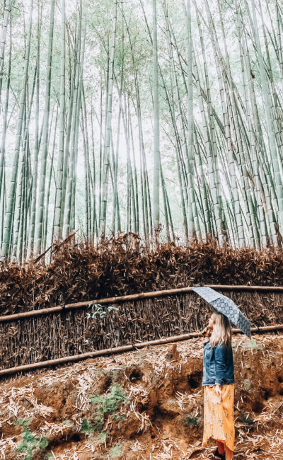 MAGICAL BAMBOO FOREST